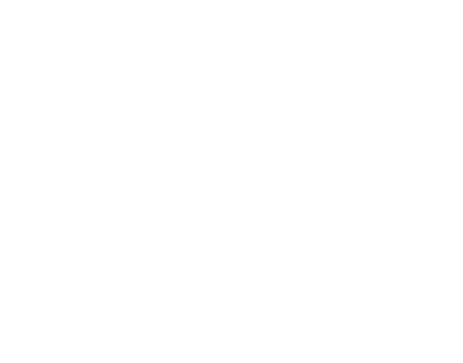 Icon Simulator