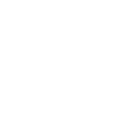 Icon Zertifikat